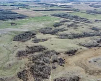 10 20240427_181128000_iOS (Large)