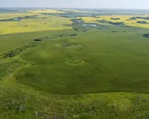 10 20250728_160053381_iOS (Large)