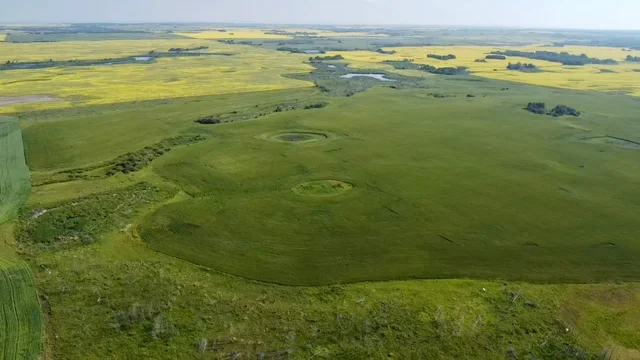 10 20250728_160053381_iOS (Large)