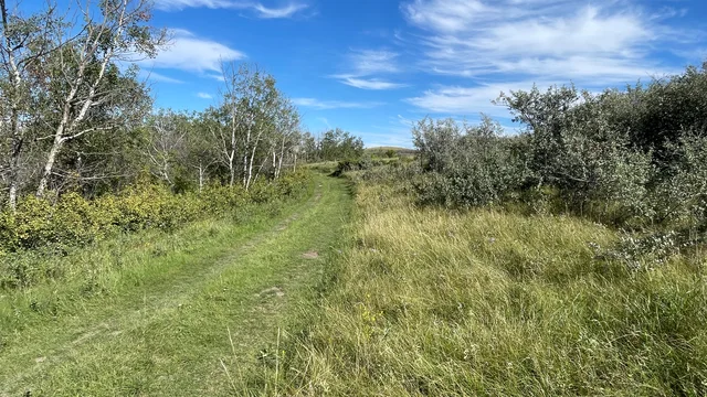 10 20250818_220134982_iOS