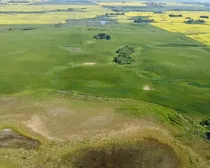 11 20250728_160207304_iOS (Large)