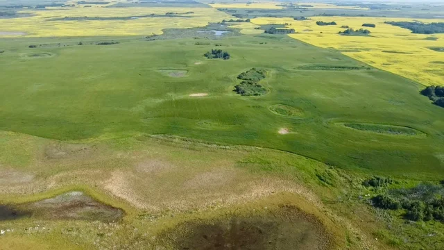 11 20250728_160207304_iOS (Large)