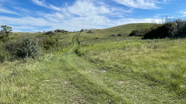 11 20250818_220230803_iOS