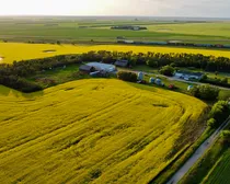 1 20240709_020354000_iOS (Large)