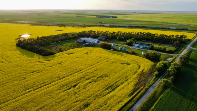 1 20240709_020354000_iOS (Large)