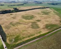 1 20250818_203633029_iOS