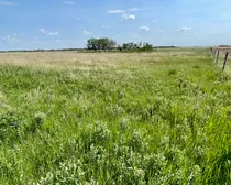 13 20250604_165524037_iOS