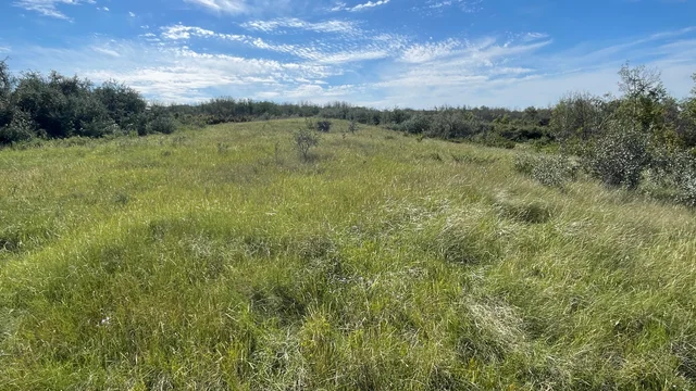 13 20250818_220240075_iOS