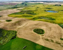 13 20250826_231808000_iOS