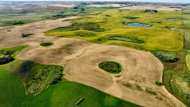 13 20250826_231808000_iOS