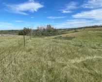 14 20250818_215430023_iOS