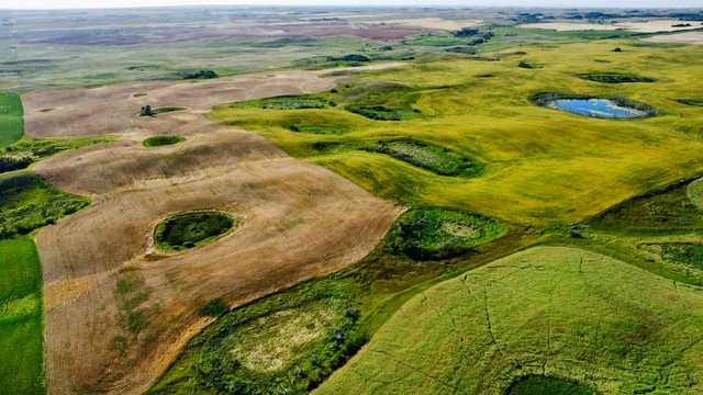 14 20250826_231848000_iOS