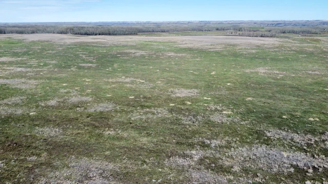 15 20240427_181538000_iOS (Large)