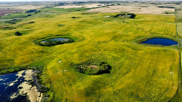 15 20250826_232022000_iOS