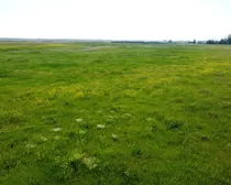 16a DJI_0986 (Large)