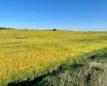 19 20250826_233207764_iOS