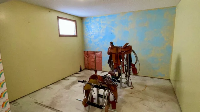 20 20250325_193452695_iOS (Large)