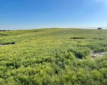 20 20250826_232503121_iOS