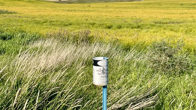 21 20250826_233358227_iOS