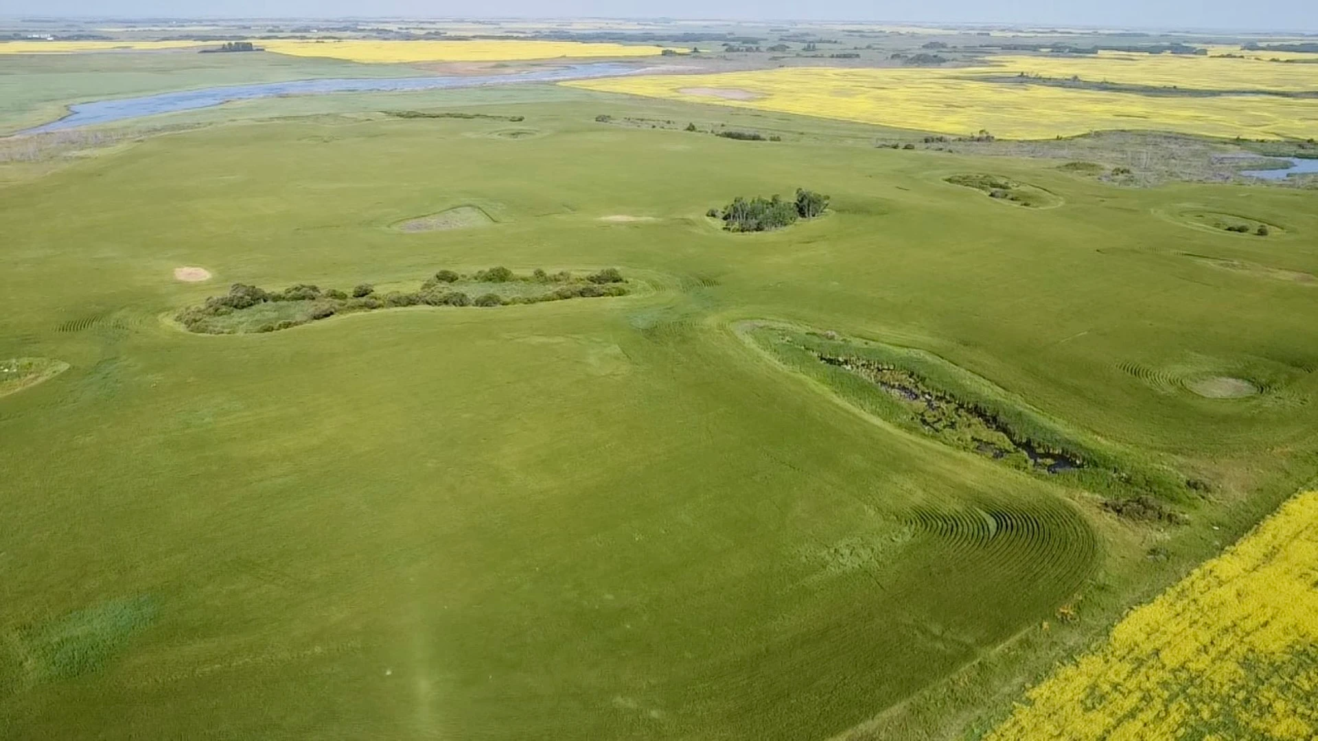 2 20250728_155401259_iOS (Large)