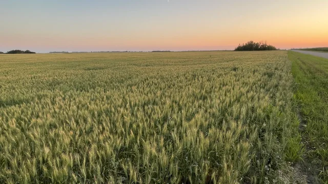 2 20250730_025213980_iOS (Large)