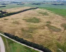 2 20250818_203610624_iOS