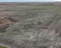 2f DJI_20251025083038_0009_D