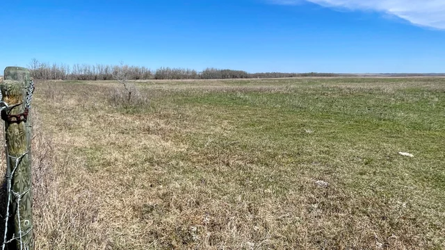 3 20240427_182005849_iOS (Large)