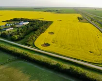 3 20240709_020446000_iOS (Large)