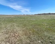 4 20240427_182001215_iOS (Large)