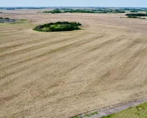 4 20250604_164718000_iOS