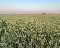 4 20250730_025219605_iOS (Large)