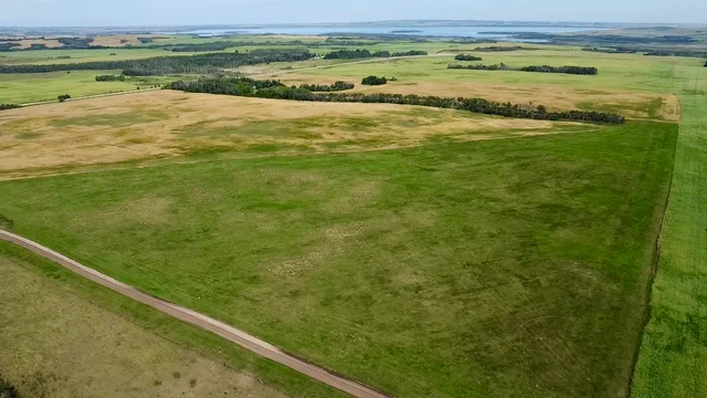 4 20250818_203030878_iOS