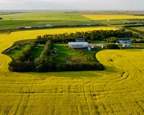 42 20240709_020334000_iOS (Large)