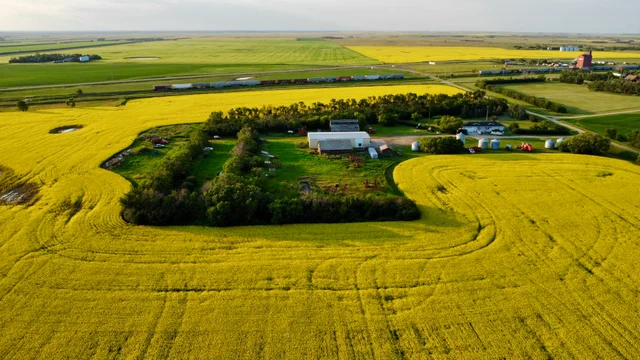 42 20240709_020334000_iOS (Large)