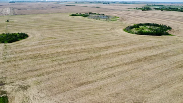 5 20250604_164726000_iOS