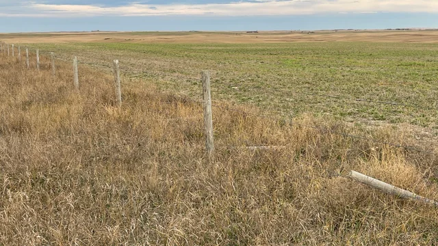 5a 20251025_143213876_iOS (Large)