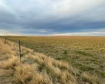 5c 20251025_141608861_iOS (Large)