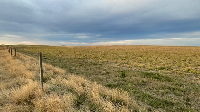 5c 20251025_141608861_iOS (Large)