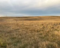 5f 20251025_140938482_iOS (Large)