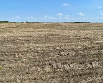 6 20250604_165734268_iOS