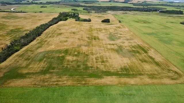 6 20250818_203218030_iOS