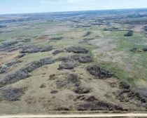 7 20240427_180740000_iOS (Large)