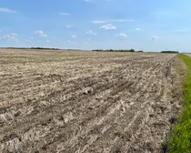 7 20250604_165736320_iOS