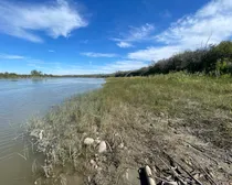 7 20250818_214919010_iOS