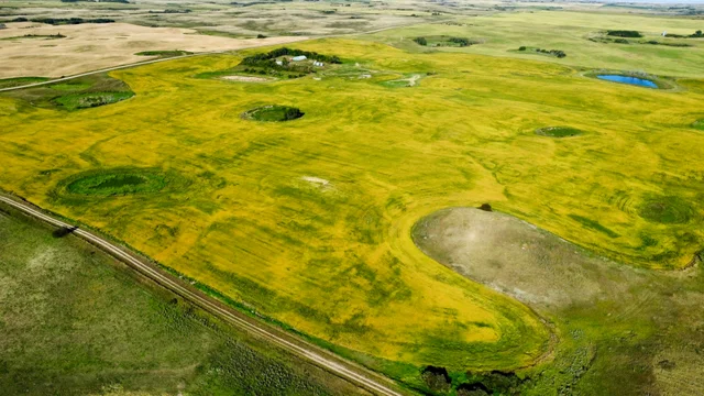 7 20250826_231454000_iOS