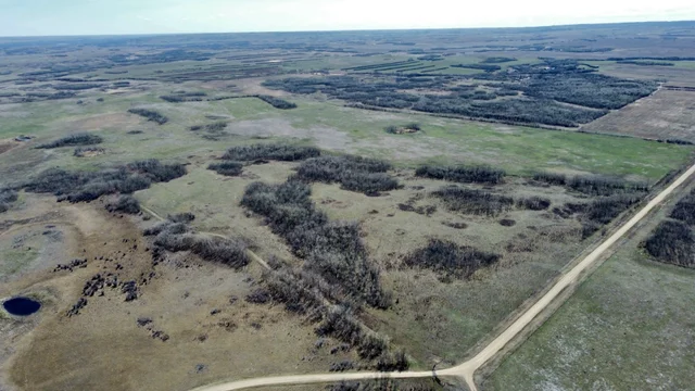 8 20240427_180852000_iOS (Large)