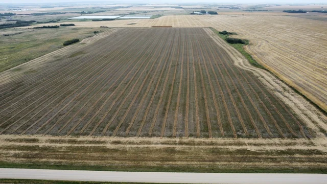 9 20240904_185620000_iOS