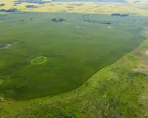 9 20250728_160016272_iOS (Large)