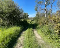 9 20250818_220121106_iOS